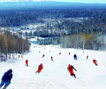 滑雪线路滑雪线路滑雪滑雪线路滑雪线路滑雪线路滑雪线路滑雪线路滑雪线路滑雪线路滑雪线路滑雪线路滑雪线路滑雪线路滑雪线路滑雪线路滑雪线路滑雪线路滑雪线路滑雪线路滑雪线路滑雪线路滑雪线路滑雪线路滑雪线路滑雪线路滑雪线路滑雪线路滑雪线路滑雪线路滑雪线路滑雪线路滑雪线路滑雪线路滑雪线路滑雪线路滑雪线路滑雪线路线路滑雪线路滑雪线路滑雪线路滑雪线路